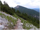 Erjavčev rovt - Huhnerkogel/Gubno